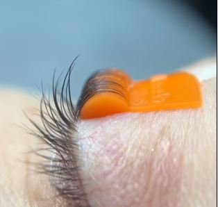 Nahaufnahme der natürlichen Wimpern, die während des Liftings mit den Elleebana Flex-Stäbchen - Round Lift - C-Curl über orangefarbene Silikonpads geschwungen werden. Blashy Shop