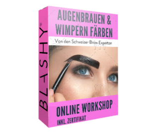 Eine rosa Box für den LASH & BROW COLOR ARTIST Online Workshop inkl. Zertifikat von Lash&Brow Academy Online mit Brauen-Styling-Foto. Blashy Shop