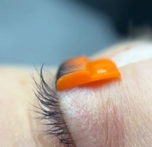 Nahaufnahme eines Auges mit Elleebana Flex Hybrid Shields - Kombi Lift L-Curl, das während eines Wimpernliftings angewendet wurde. Blashy Shop