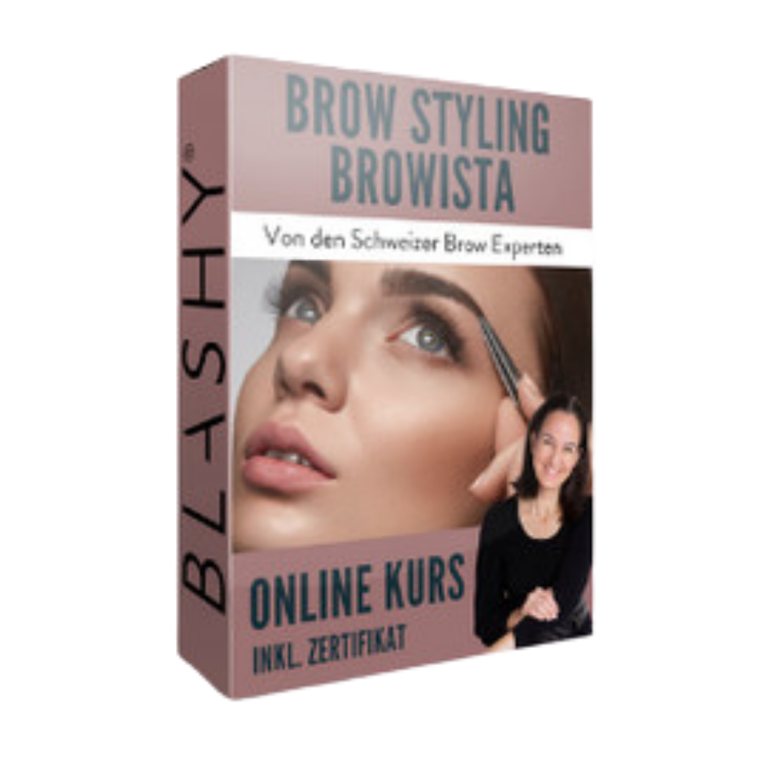 Box für BROW STYLING - 7 Schritte System Online Kurs von Lash&Brow Academy Online mit Bildern und deutschem Text. Blashy Shop