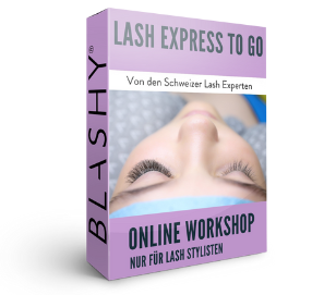 Lila Box für LASH EXPRESS TO GO Wimpernverlängerung Online Workshop von Lash&Brow Academy Online, mit Volumen Lashes. Blashy Shop