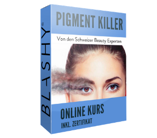 Box für PIGMENTKILLER Online Kurs inkl.. Zertifikat von Lash&Brow Academy Online, Text auf Deutsch für Beauty-Profis. Blashy Shop