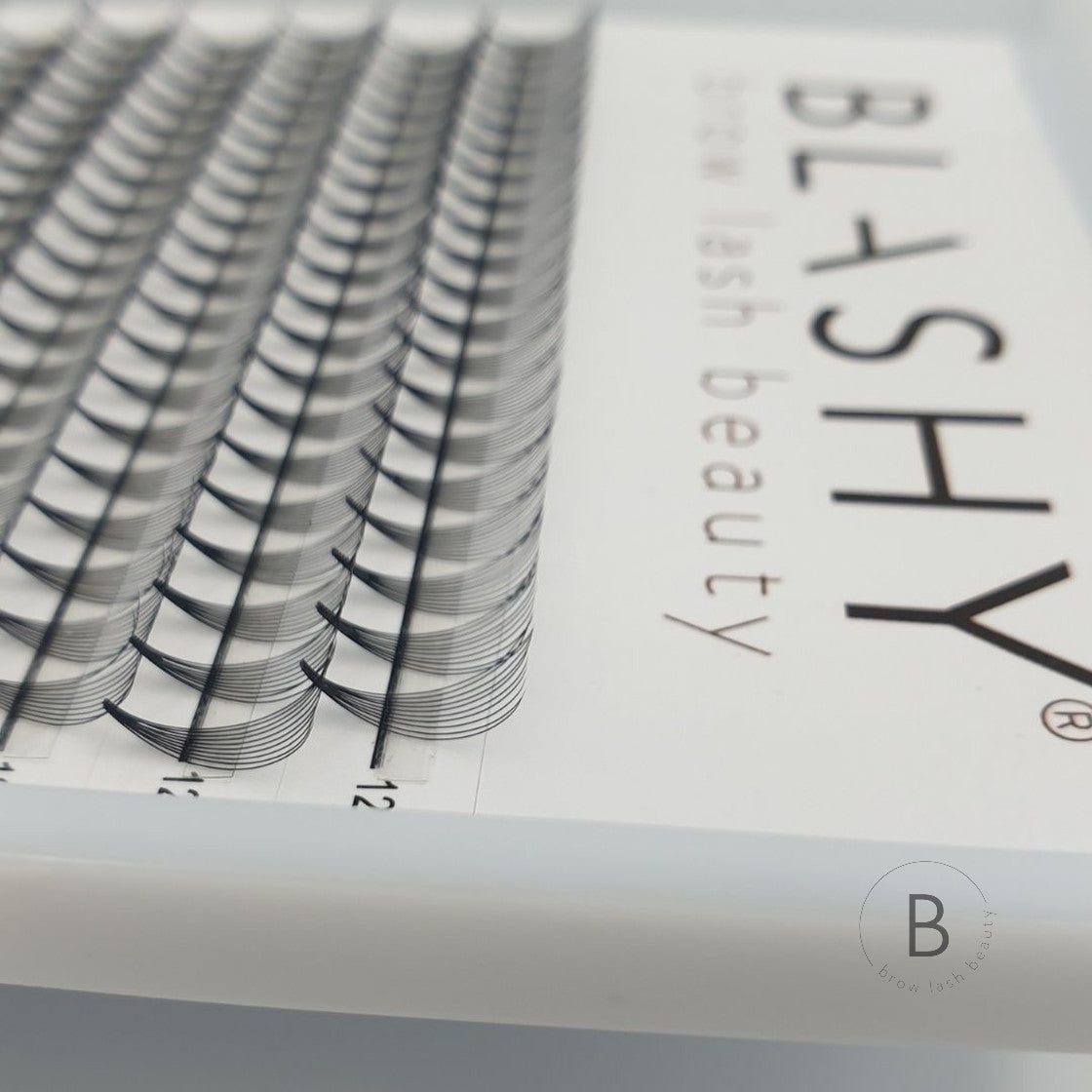 Nahaufnahme der ordentlich angeordneten VOLUMENWIMPERN MIT FERTIGFÄCHERn in einem Lash&Brow Academy Online Beauty-Tray. Blashy Shop
