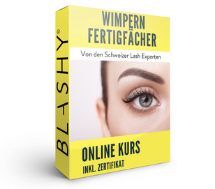 Gelbe Box für den Online-Workshop VOLUMENWIMPERN MIT FERTIGFÄCHER von Lash&Brow Academy Online, zeigt eine Nahaufnahme der Augen. Blashy Shop